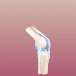 More Aches and Pains in Cold Weather Think about Your Muscles and Tendons!