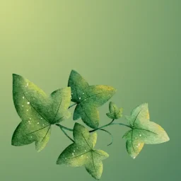 know your plants (1)