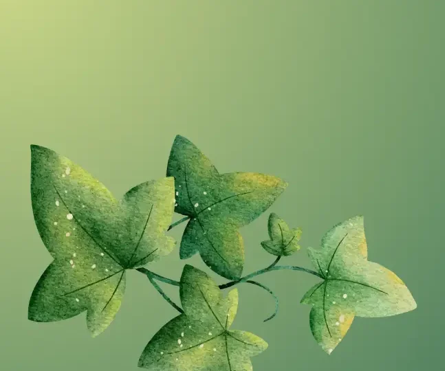 know your plants (1)