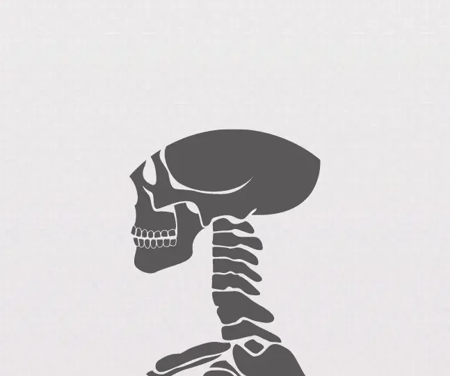 The TMJ and Neck Connection (1)