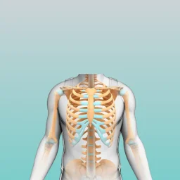 Rib Pain (1)