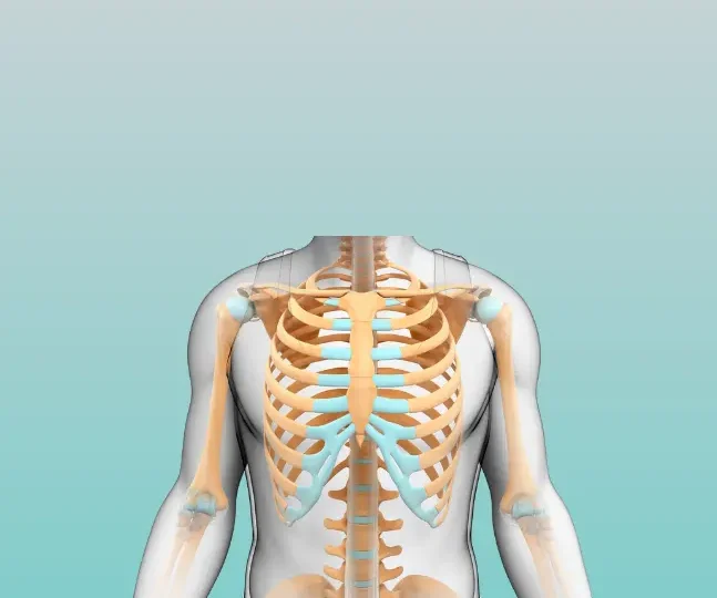 Rib Pain (1)