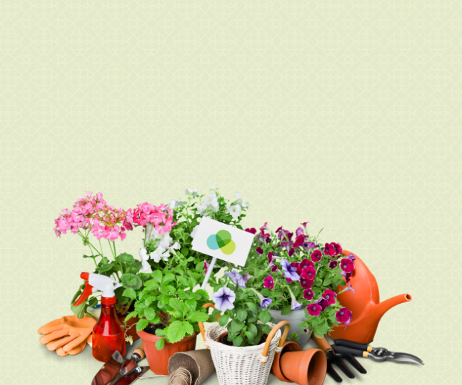 Gardening Safely Without Injuries (2)