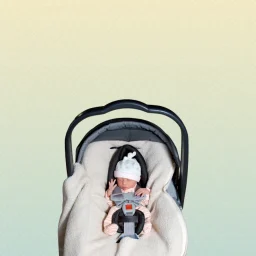 The Fourth Trimester Being Home With Your Baby (1)