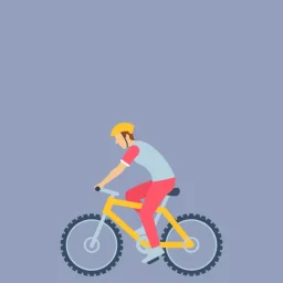 How to Fit a Bike (1)