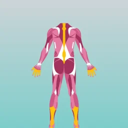 Sports massage