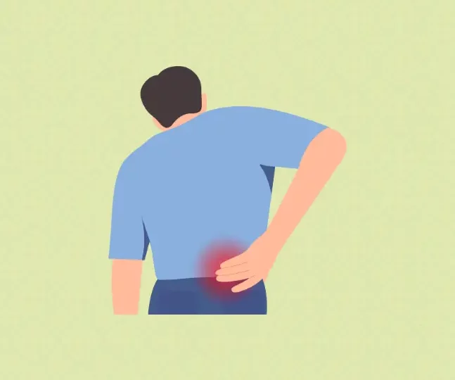 Understanding Low Back Pain Multidisciplinary Approaches Ottawa