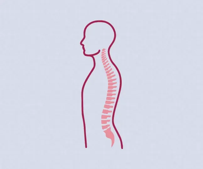 Patient Education Series on Spinal Health
